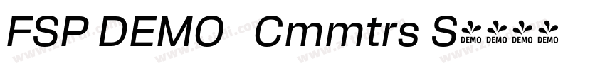 FSP DEMO   Cmmtrs S字体转换